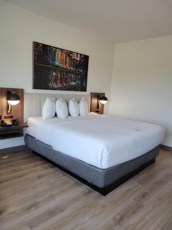 La Quinta Inn & Suites By Wyndham テレル エクステリア 写真