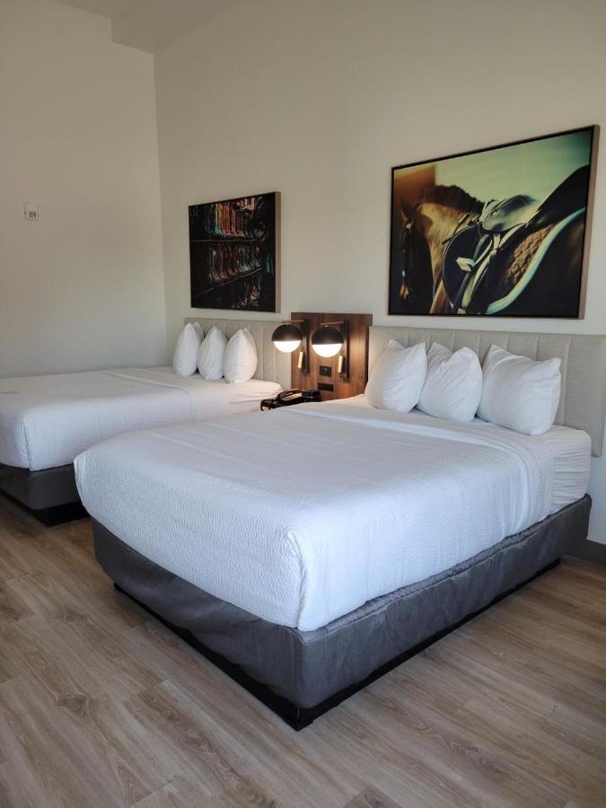 La Quinta Inn & Suites By Wyndham テレル エクステリア 写真