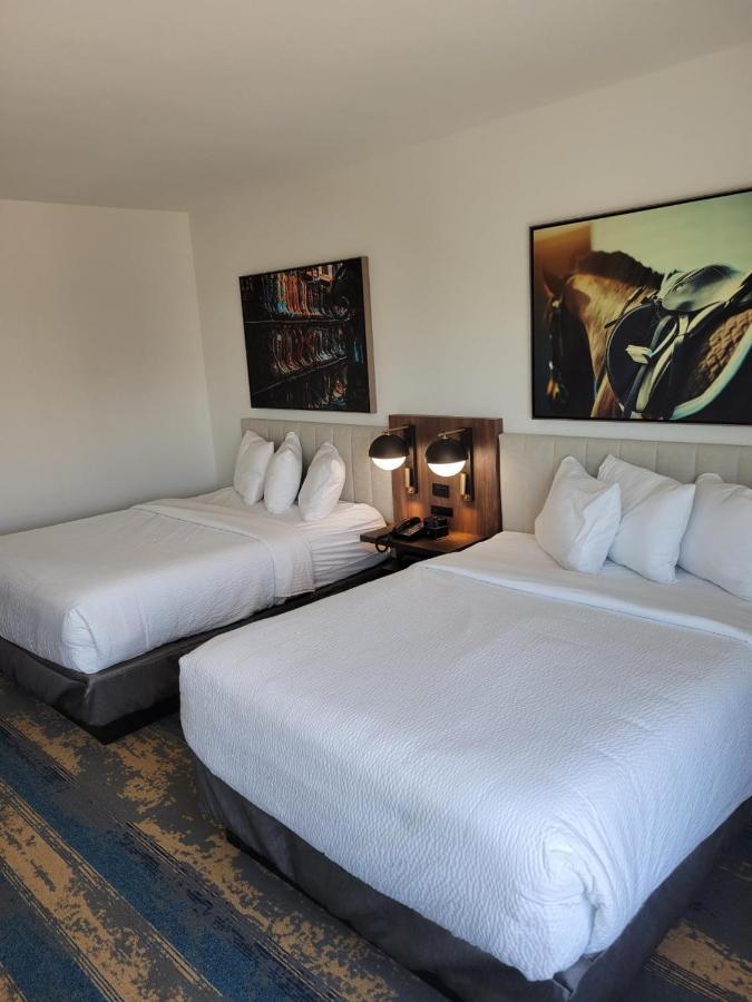 La Quinta Inn & Suites By Wyndham テレル エクステリア 写真