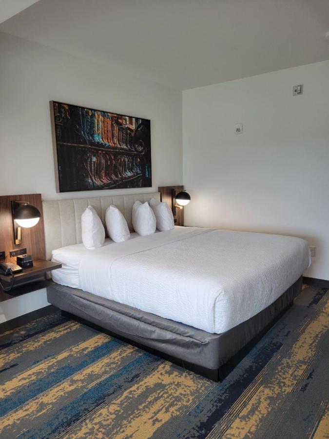 La Quinta Inn & Suites By Wyndham テレル エクステリア 写真